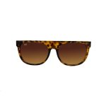 SQUARE OYE SHELL BROWN