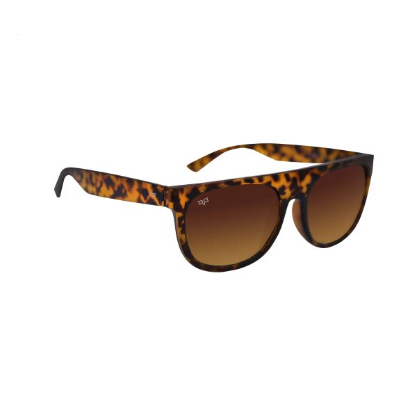 SQUARE OYE SHELL BROWN - Image 2