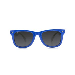 EXPLORER ISO GREY POLARISED