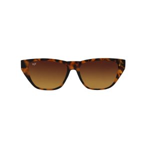 CAT EYE CEIL SHELL  WITH MATTE BLACK