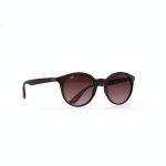 ROUND BROWN FRAME AND TEMPLES WITH POLARISED LENSES - Image 2