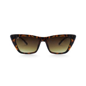 CAT EYE OLLO SHELL BROWN