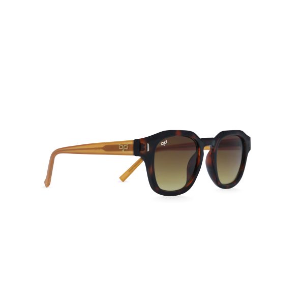 ROUND OYE SHELL BROWN ORANGE - Image 2