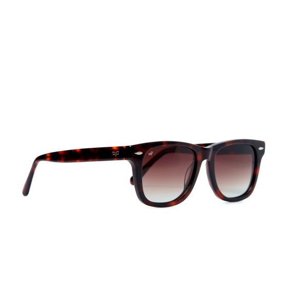 NORTE TORTOISE - Image 2