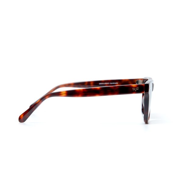 NORTE TORTOISE - Image 3