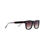 NORTE TORTOISE CLEAR - Image 2
