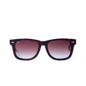 NORTE TORTOISE CLEAR
