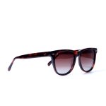 NORTE TORTOISE - Image 2