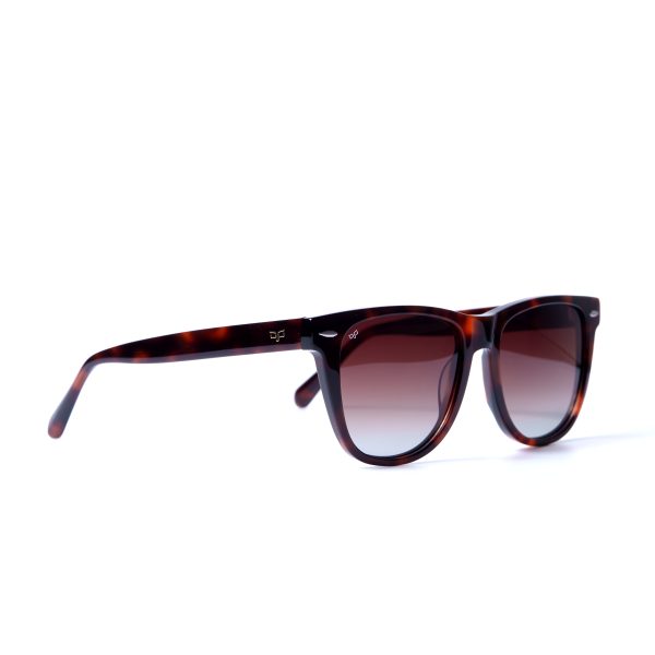 NORTE TORTOISE - Image 2