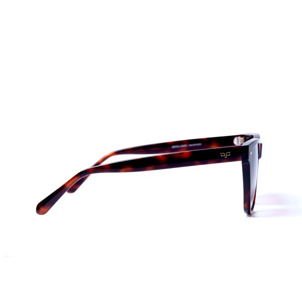 NORTE TORTOISE - Image 3