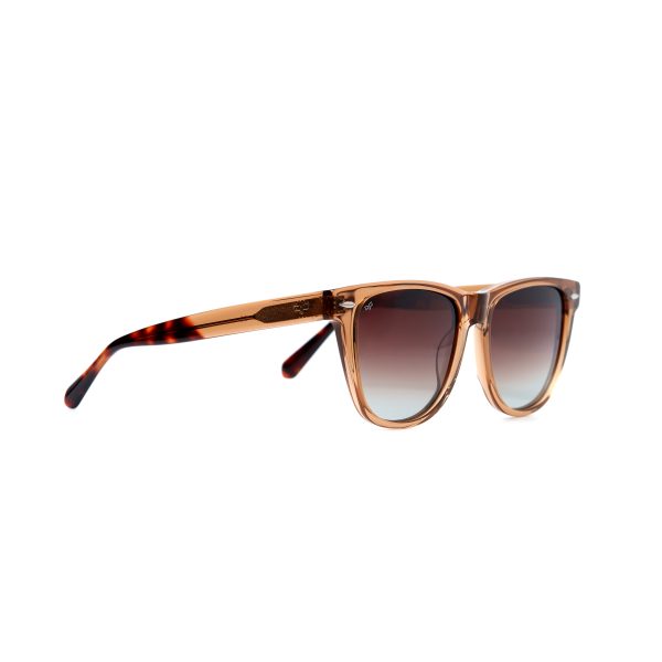 NORTE CLEAR BROWN - Image 2