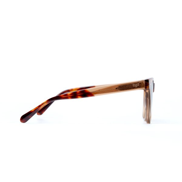 NORTE CLEAR BROWN - Image 3