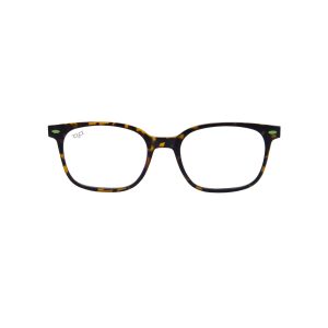 EXPLORER MATA SHELL BROWN