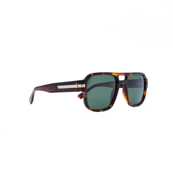 GROSSO TORTOISE - Image 2
