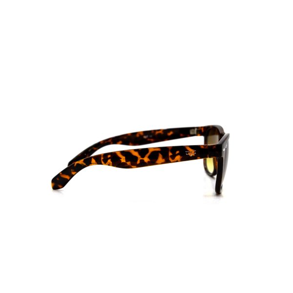 EXPLORER OLHO SHELL BROWN - Image 3