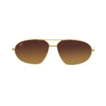 CAT EYE CEIL SHELL BROWN POLARISED
