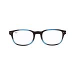 EXPLORER READING GLASSES BLUE BLOCK 2.50