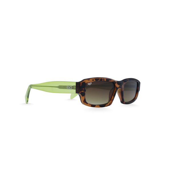 SQUARE CEIL SHELL BROWN GREEN - Image 2