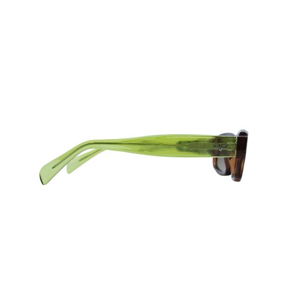 SQUARE CEIL SHELL BROWN GREEN - Image 3