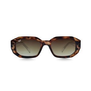 SQUARE CEIL SHELL WITH CLEAR TEMPLES
