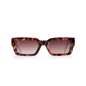 SQUARE CEIL SHELL BROWN WITH CLEAR TEMPLES