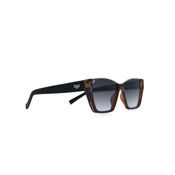 CAT EYE CEIL SHELL BROWN BLACK - Image 2