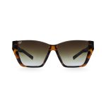 CAT EYE CEIL SHELL SHELL BROWN