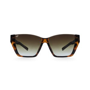 CAT EYE CEIL SHELL SHELL BROWN