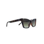 CAT EYE CEIL SHELL SHELL BROWN - Image 2