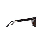 CAT EYE CEIL SHELL SHELL BROWN - Image 3