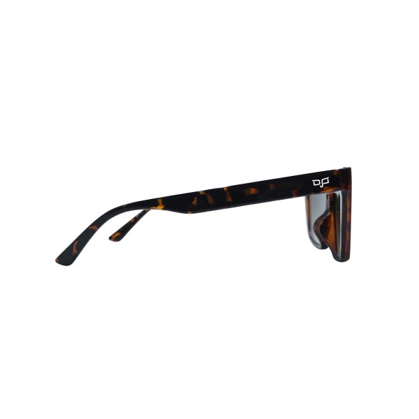 CAT EYE CEIL SHELL SHELL BROWN - Image 3