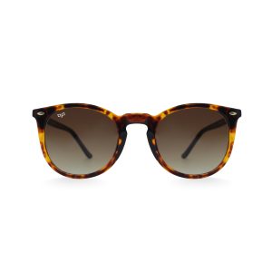 SQUARE CEIL SHELL BROWN BIO ACETATE HANDMADE S70