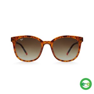 SQUARE CEIL SHELL BROWN BIO ACETATE HANDMADE S70